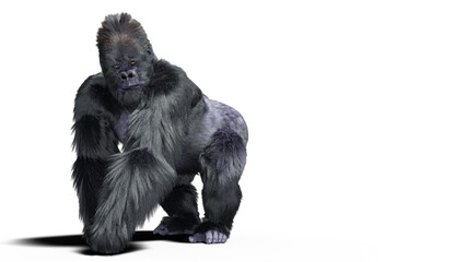 Black silver gorilla 3d illustration isolated on white with a cliping path.  - obrazy, fototapety, plakaty