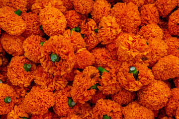 Marigold or Samanthi Poo or Chrysanthemum Flower role at The Devaraja Market: A Unique Heritage...