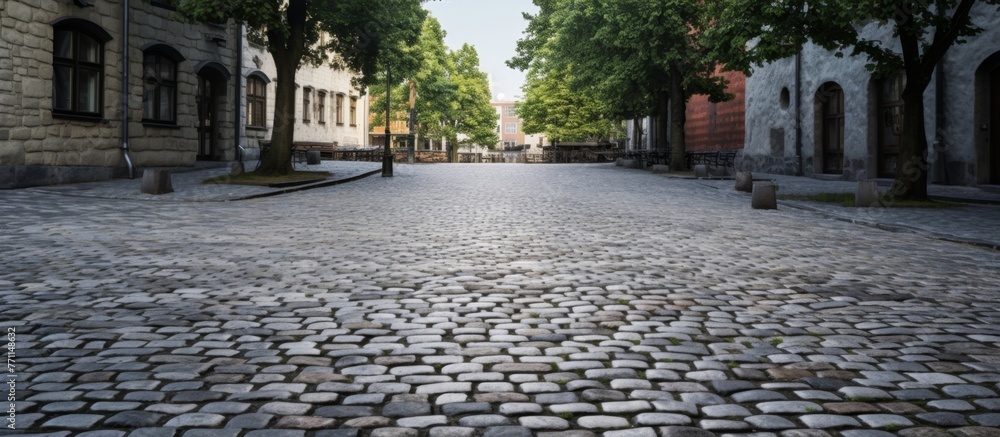 Wall mural An empty cobblestone street lined with trees and buildings, creating a picturesque urban scene with a mix of natural and manmade elements