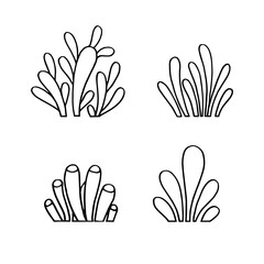 Set of hand drawing of decorative sea plant illustration vector