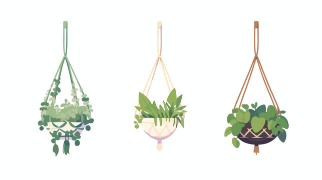 Houseplants on macrame hangers icon flat cartoon va