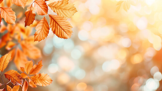 orange fall leaves in park, sunny autumn natural background. bright photo, high details, copy space,