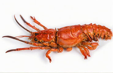 Deep fried crayfish, cut out on white background