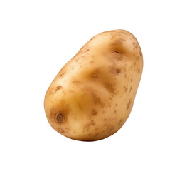 potato fresh vegetable isolated 