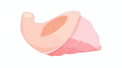 Pink conch shell over white flat cartoon vactor ill