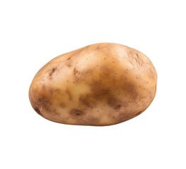 potato fresh vegetable isolated 