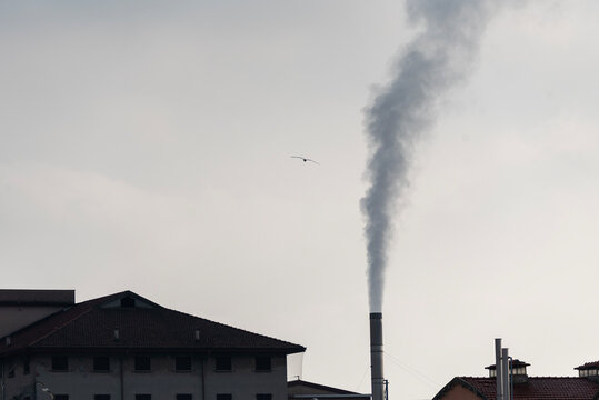 Industrial context with smoking chimney.