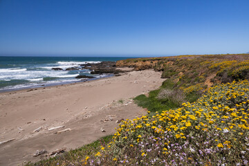 California coastline 
