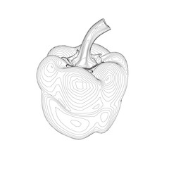 Pepper logo template icon vector illustration. Black and white contour with bell pepper. Monochrome outline of bell pepper isolated on white. Vector illustration.