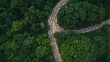 A bird's-eye perspective of a serpentine roadway nestled in a verdant forest, captured in the monsoon season Generative AI