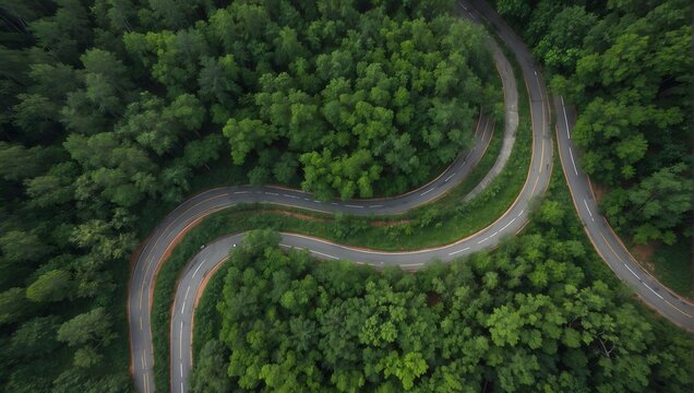 A bird's-eye perspective of a serpentine roadway nestled in a verdant forest, captured in the monsoon season Generative AI