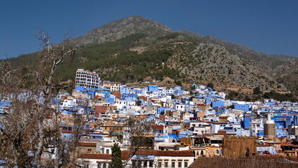 Blue and white houses in a hill in the medina, in Chefchaouen, Morocco, with mountains rising up in the background