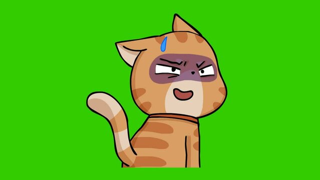 funny cat animation on green screen
