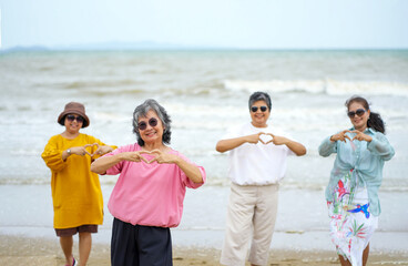 senior friends enjoy a sunny day at the beach. The group's active engagement create a vibrant outdoor activities in nature.
