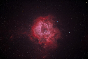 Astrophotography of the Rosette Nebula, also recognized as Caldwell 49.