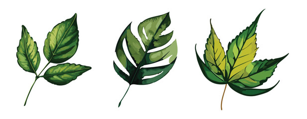 Painted leaf illustration set