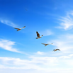 Obraz premium The flock of birds soared gracefully through the vast expanse of the azure sky, their synchronized movements resembling a choreographed dance against the backdrop of fluffy white clouds