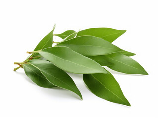 Close-up of bay leaves on white background, vitamin and health concept. Generative AI.
 - obrazy, fototapety, plakaty