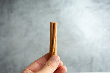 A view of a hand holding a single cinnamon stick.