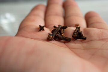 Obraz premium A closeup view of several cloves in the palm of a hand.
