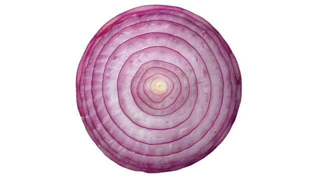 Red onion slices isolated on white and transparent background. Top view. Flat lay. Red onion slice in air, without shadow.