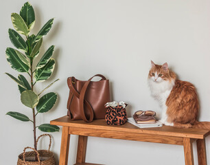 A red cat, a woman's bag on a wooden bench, A homemade flower in a basket in the hallway interior