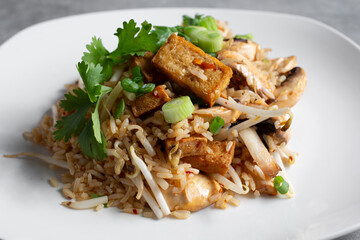 A closeup view of a plate of tofu fried rice.