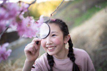 桜の花を虫眼鏡で見る女の子