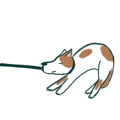 歩きたくない犬