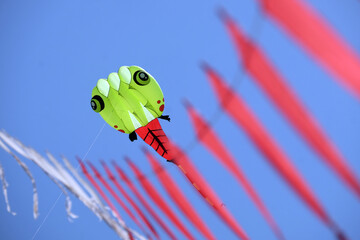 colorful kites with blue sky background