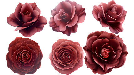Don Juan Rose Digital Art: A Vibrant 3D Floral Illustration Isolated on Transparent Background, Perfect for Valentine's Day and Romantic Design Projects - obrazy, fototapety, plakaty