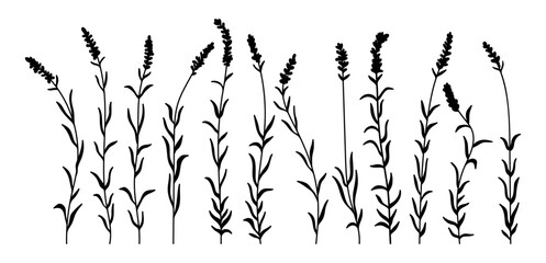 Lavender flower medicine plant silhouette stencil templates - obrazy, fototapety, plakaty