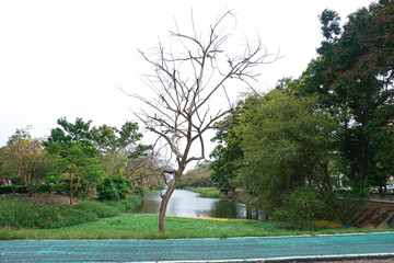 Cycling race in the garden background