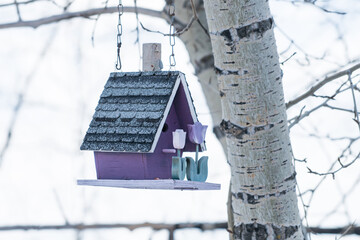 Purple bird house on a lens blured background.
