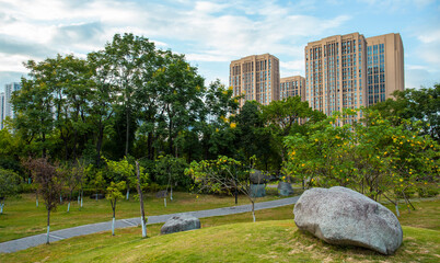 Fototapeta premium Under the clear sky, the parks in the city are lush with green grass and very quiet