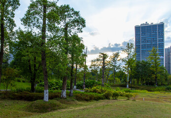 Under the clear sky, the parks in the city are lush with green grass and very quiet