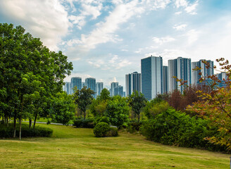Obraz premium Under the clear sky, the parks in the city are lush with green grass and very quiet