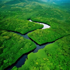 aerial view of landscape with river and green trees