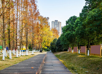 Modern urban scenery in autumn, with towering buildings in the distance and lush vegetation in...