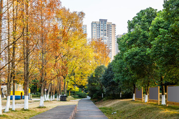 Modern urban scenery in autumn, with towering buildings in the distance and lush vegetation in nearby parks