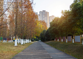 Modern urban scenery in autumn, with towering buildings in the distance and lush vegetation in nearby parks