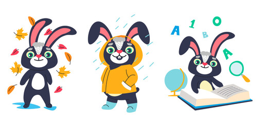 Rabbit characters in autumn, back to school bunny