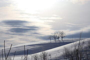 雲のかかる冬の朝の丘