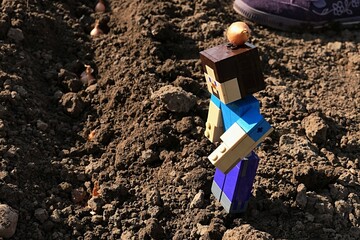 Fototapeta premium LEGO Minecraft figure of smiling Steve with onion nurseling on his head, checking planted onions in garden soil. 