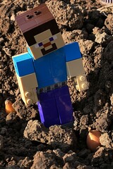 Obraz premium LEGO Minecraft figure of smiling Steve checking planted onions in garden soil, spring afternoon sunshine. 