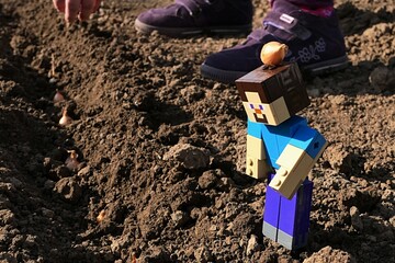 Obraz premium LEGO Minecraft figure of smiling Steve with real onion nurseling on his head checking planted onions in soil, children shoes in background. 