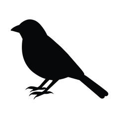 silhouette of a tanager bird on white