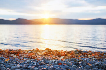 Sunset view on the stone beach with autumn leaves