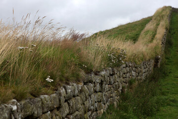 Along the Hadrian's wall between Twice Brewed and Chollerford - Northumberland - England - UK © Collpicto