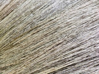 The dry grass was lined up.